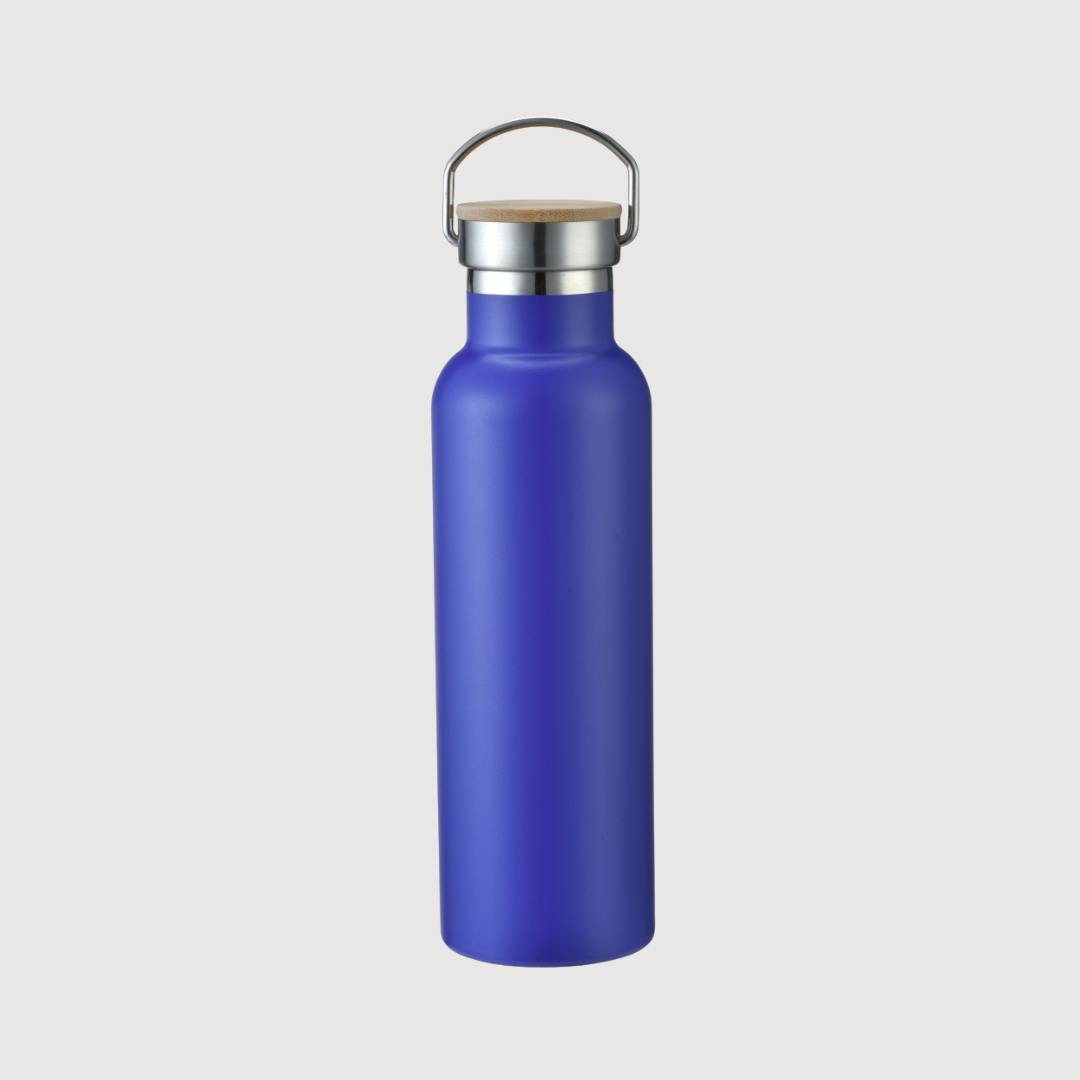 Double wall vacuum stainless steel bottle